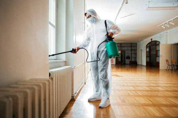 Best Pest Control Treatment  in New Baden, IL